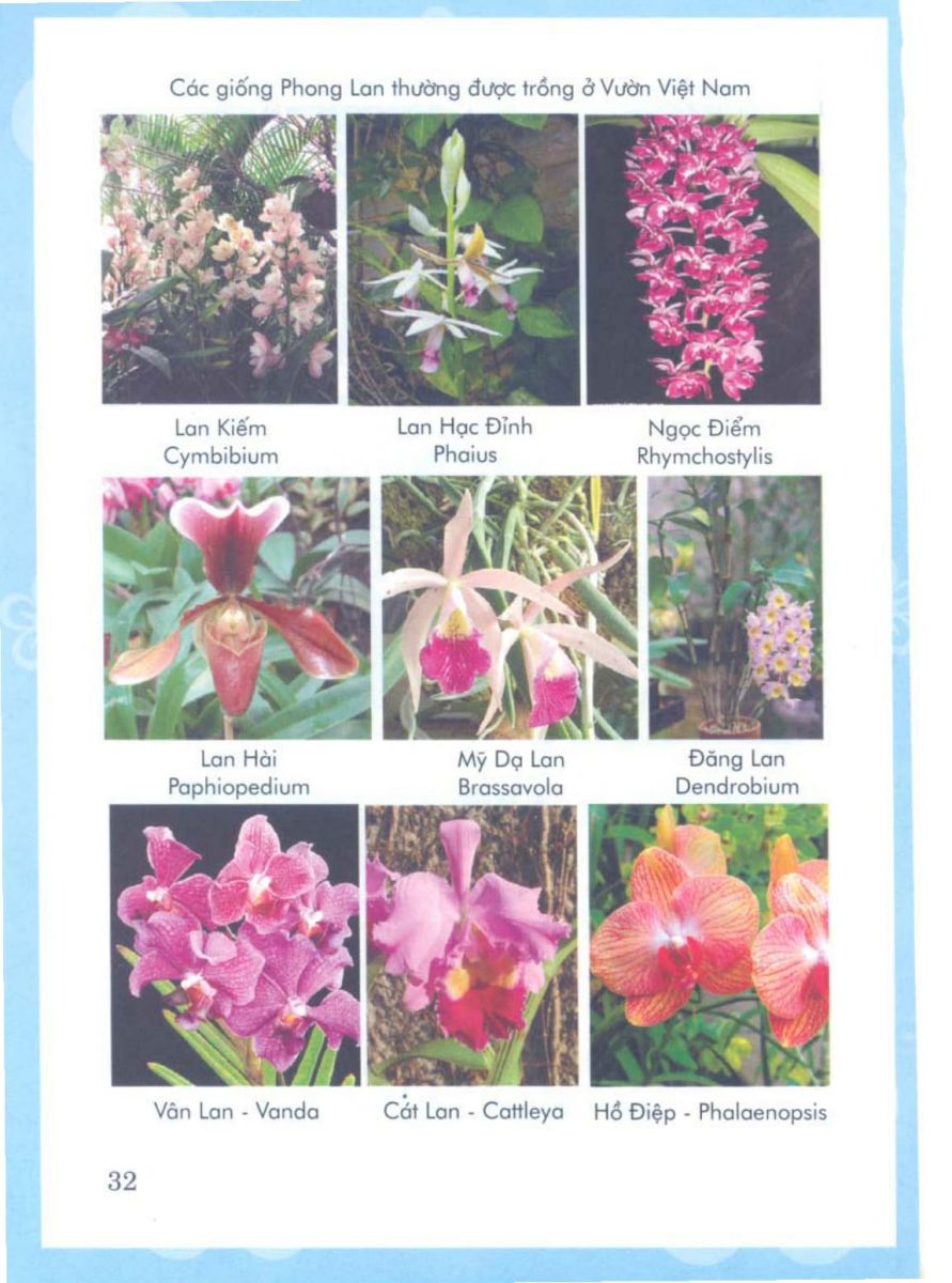 Phong Thủy Vườn Cảnh - 95