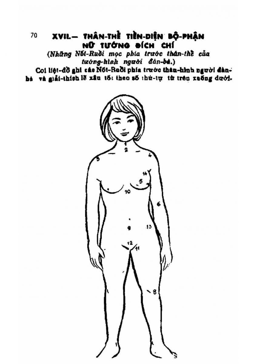 Coi Tướng Đàn Bà - 70