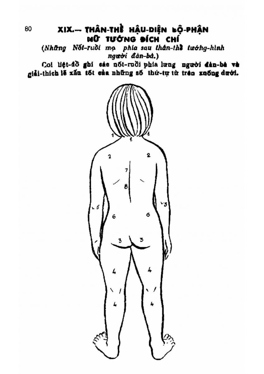 Coi Tướng Đàn Bà - 80