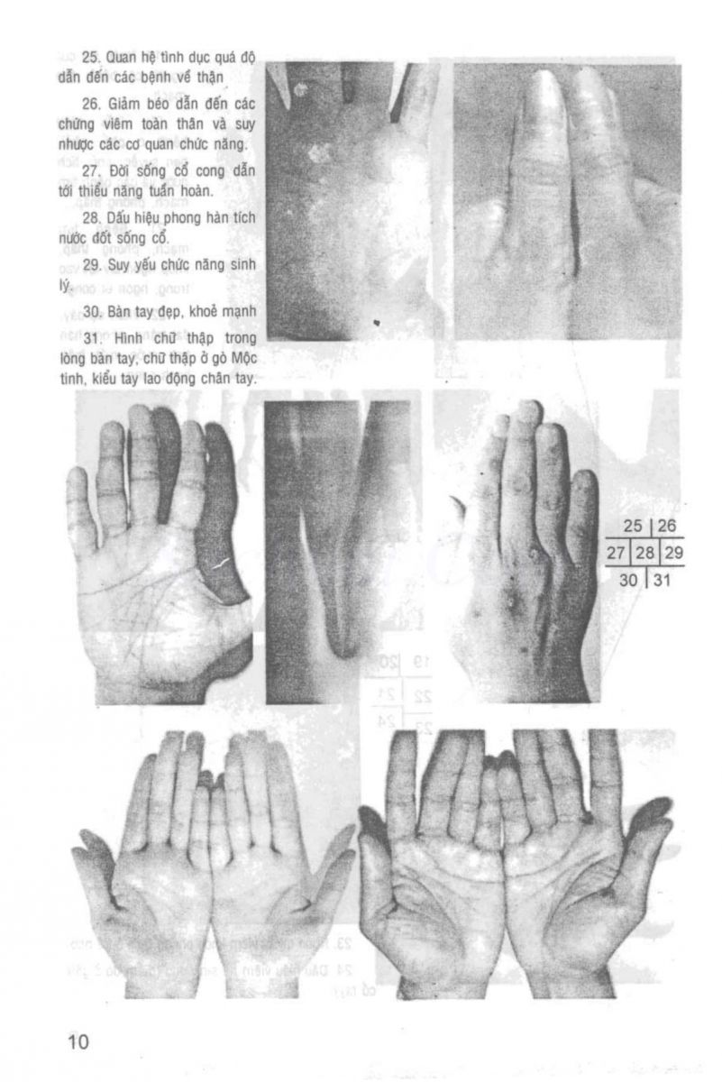 Giải Mã Cuộc Đời - 9