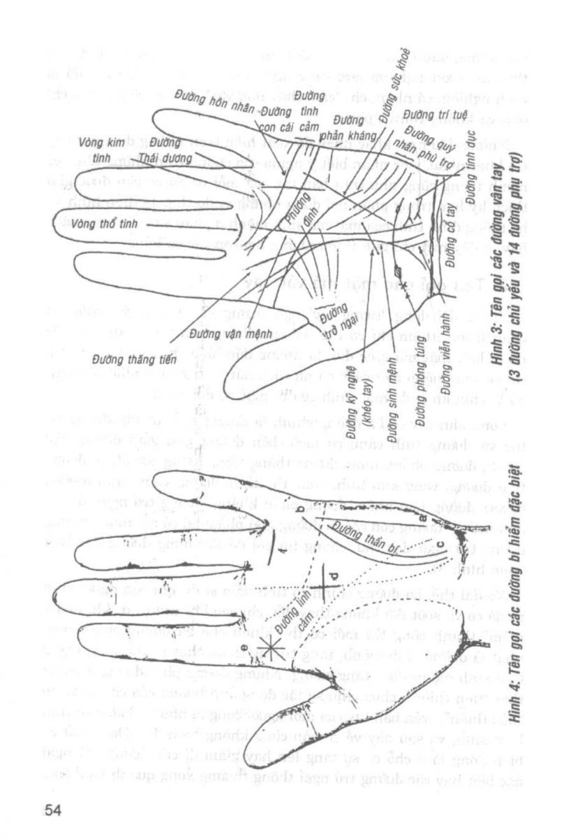 Giải Mã Cuộc Đời - 52