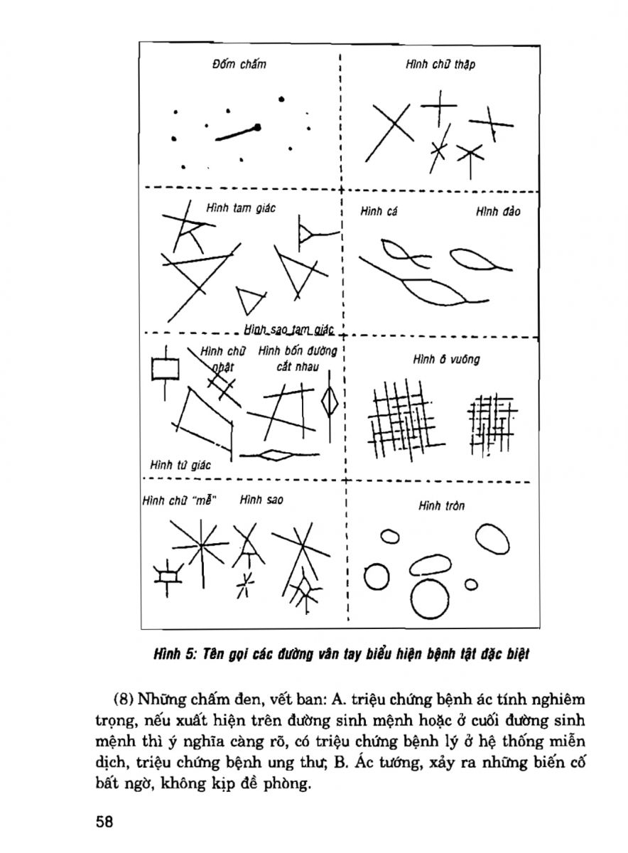 Giải Mã Cuộc Đời - 56