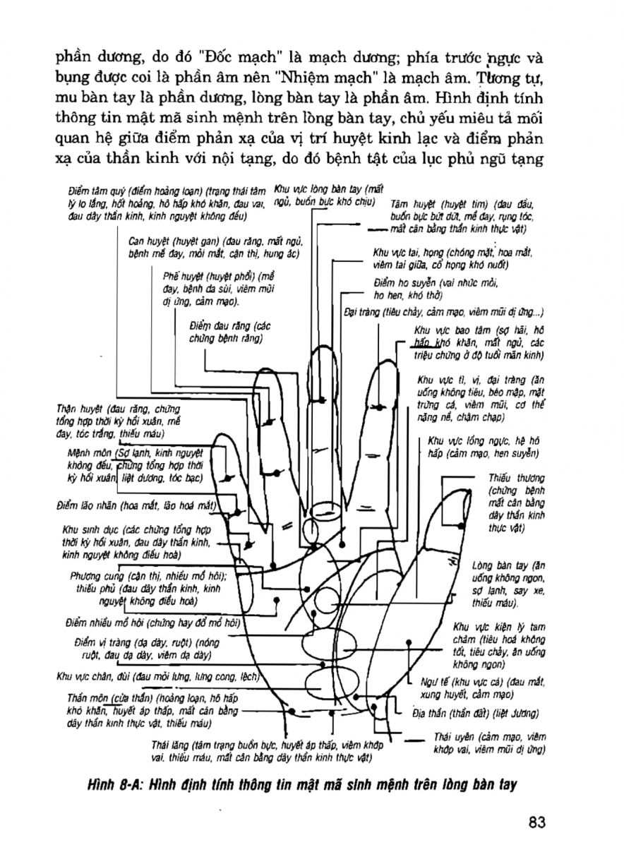 Giải Mã Cuộc Đời - 81