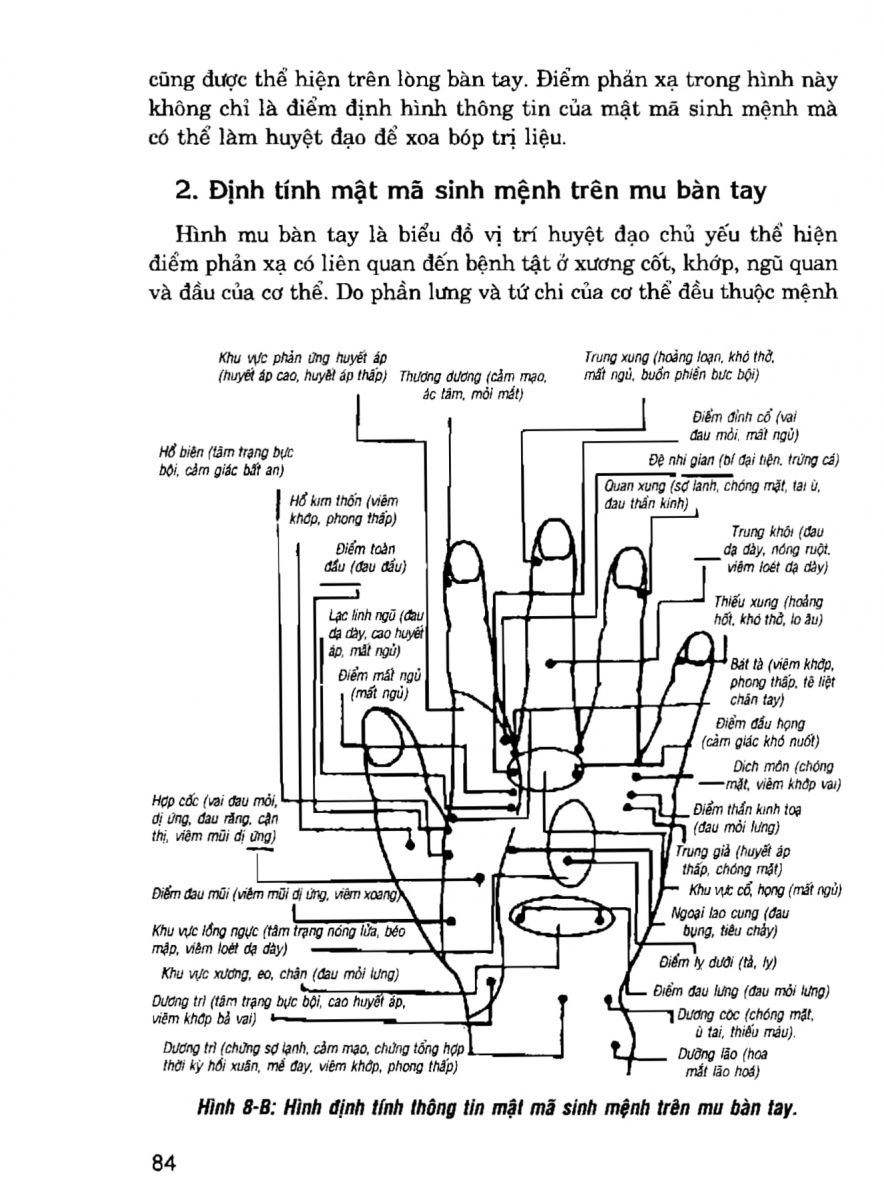 Giải Mã Cuộc Đời - 82