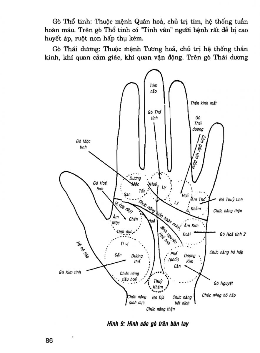Giải Mã Cuộc Đời - 84