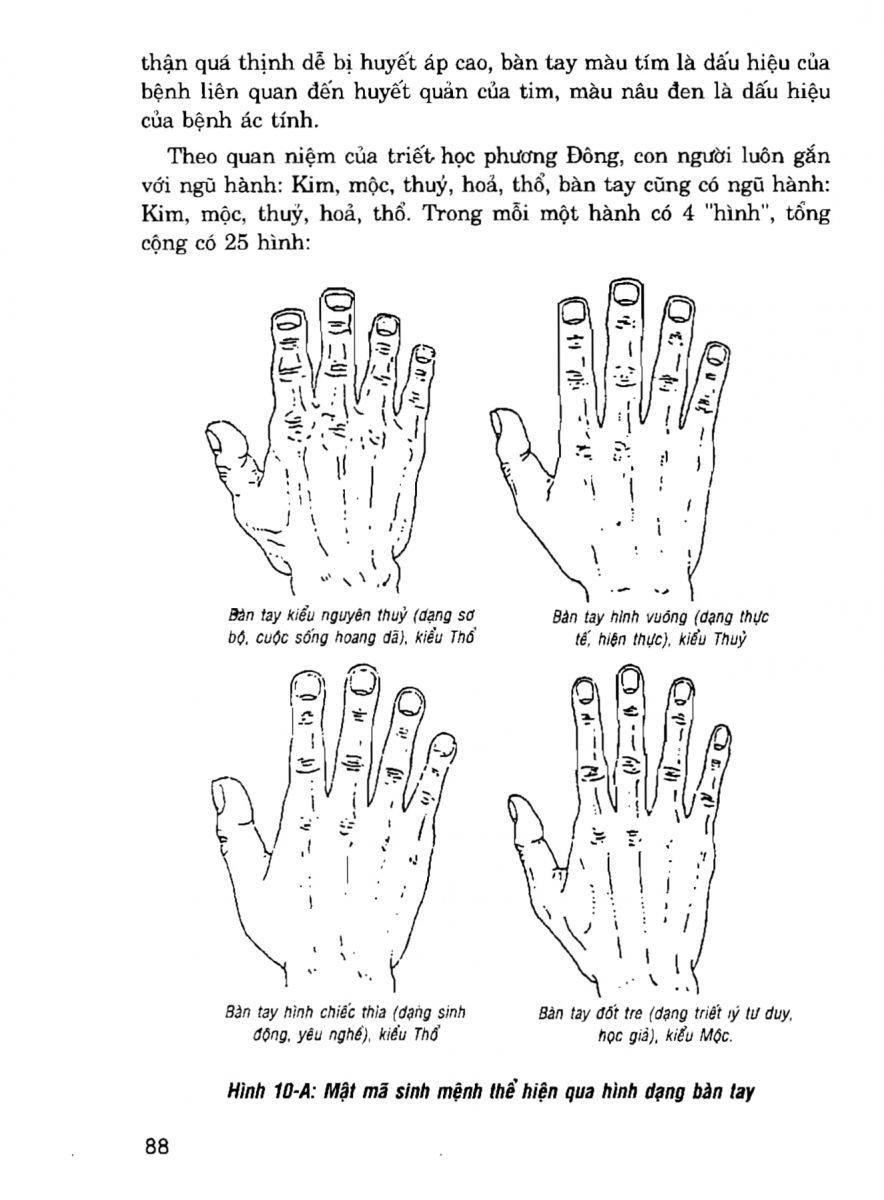 Giải Mã Cuộc Đời - 86