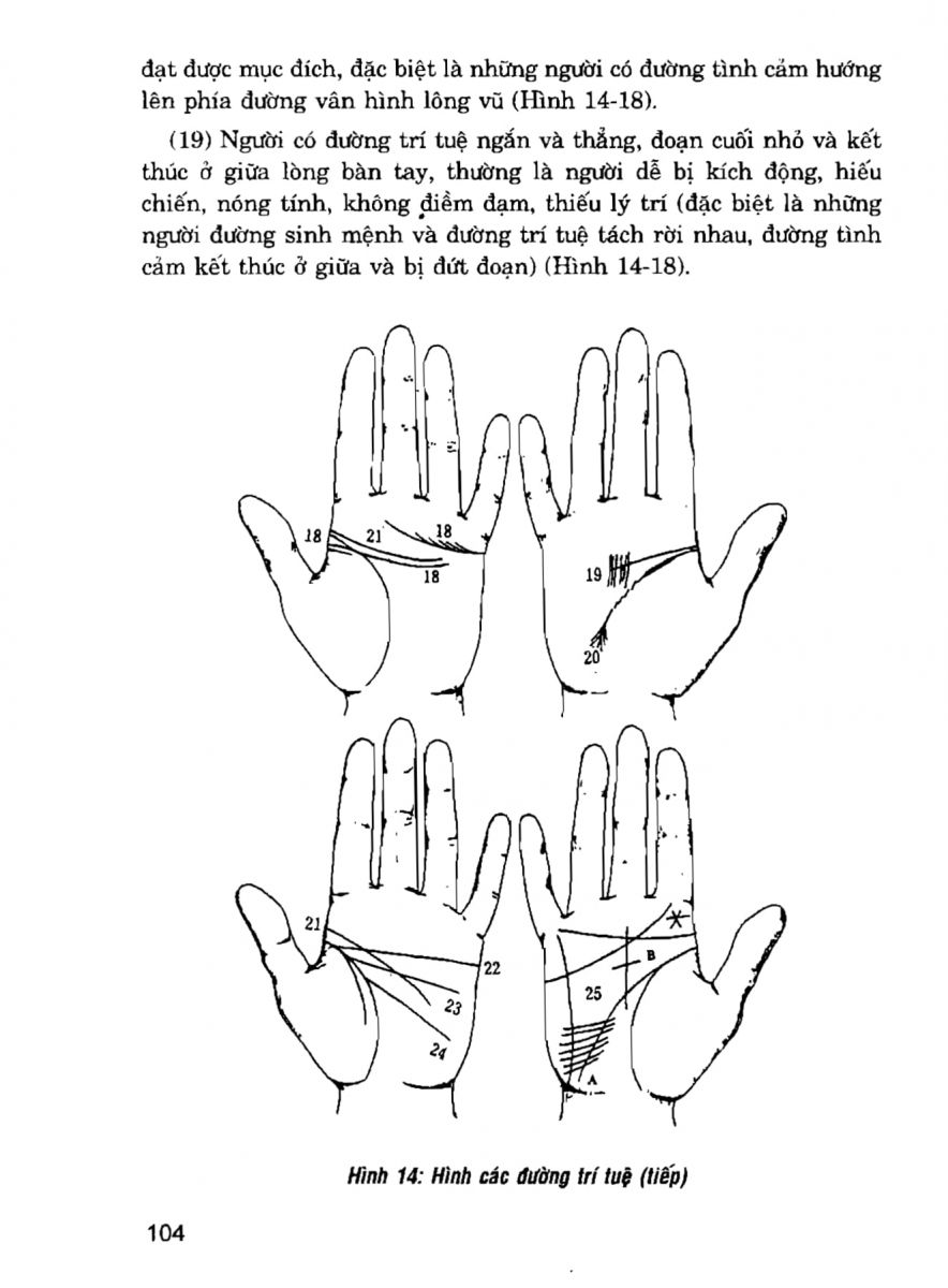 Giải Mã Cuộc Đời - 102
