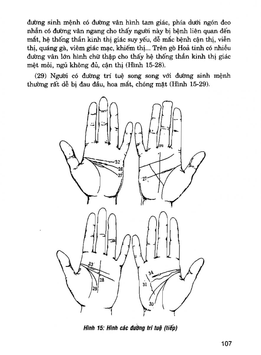 Giải Mã Cuộc Đời - 105