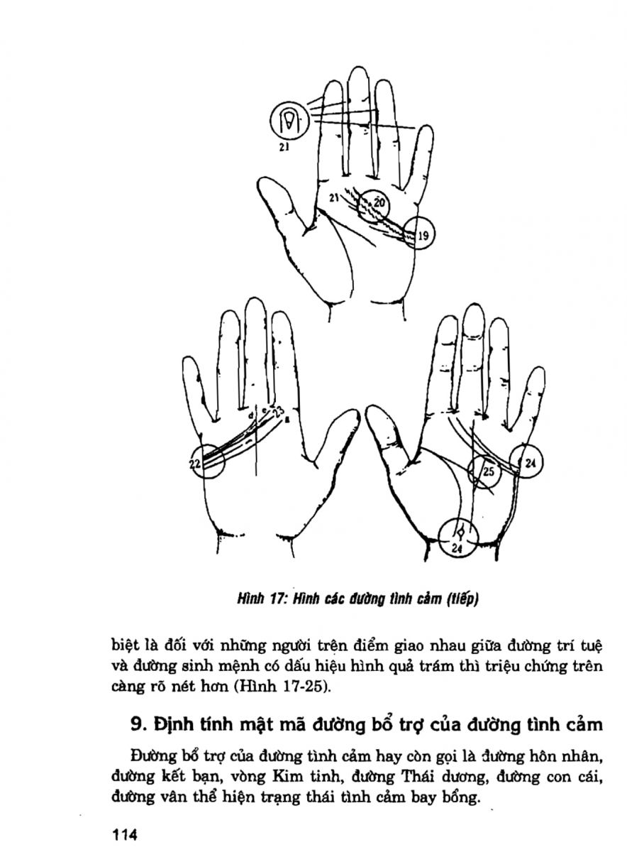 Giải Mã Cuộc Đời - 112