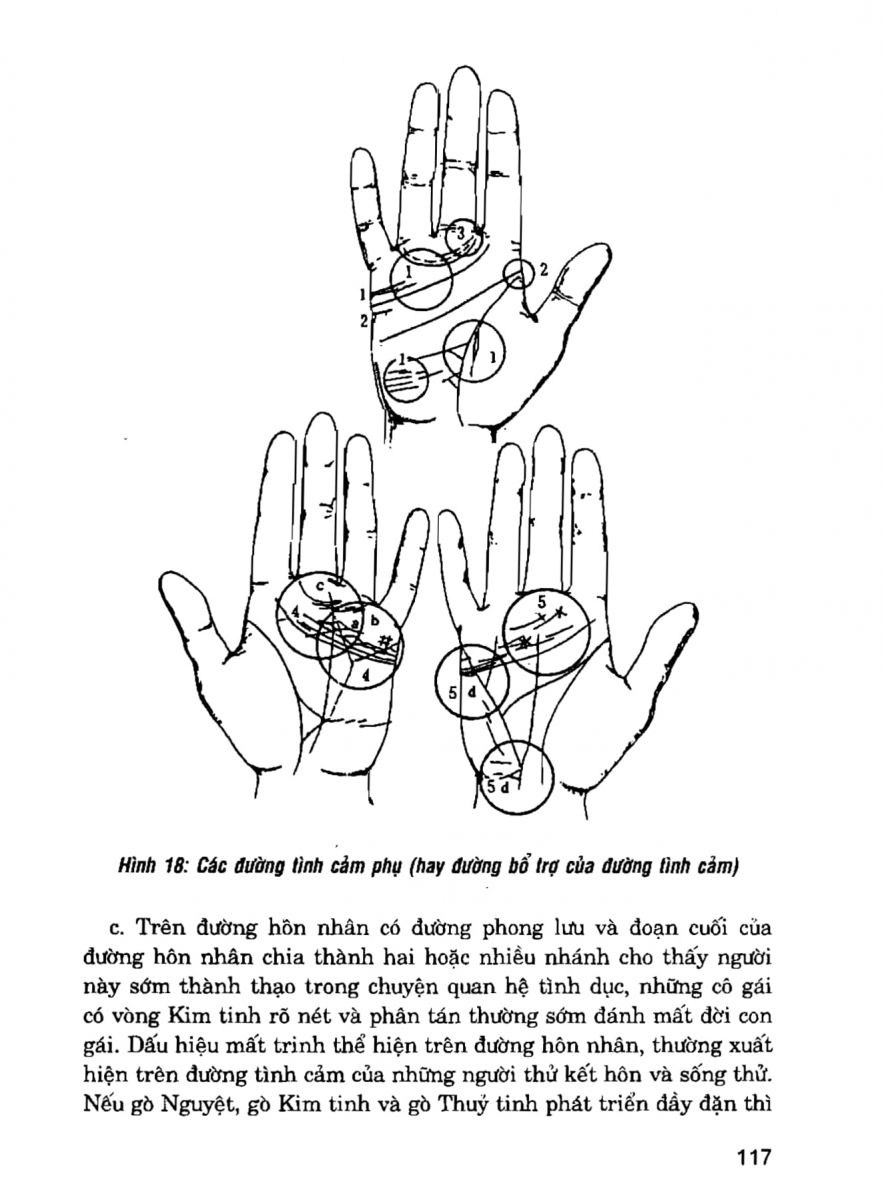 Giải Mã Cuộc Đời - 115