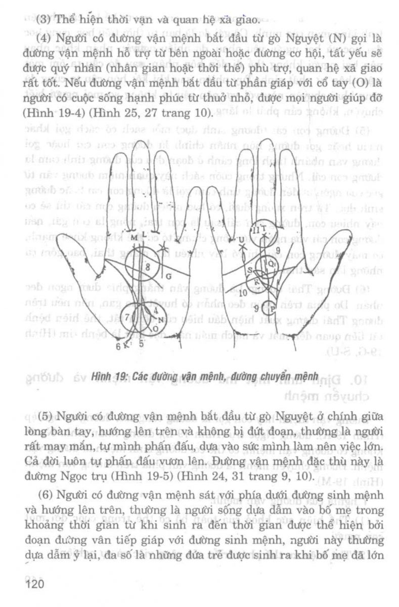 Giải Mã Cuộc Đời - 118