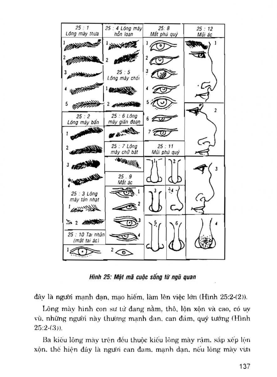 Giải Mã Cuộc Đời - 135