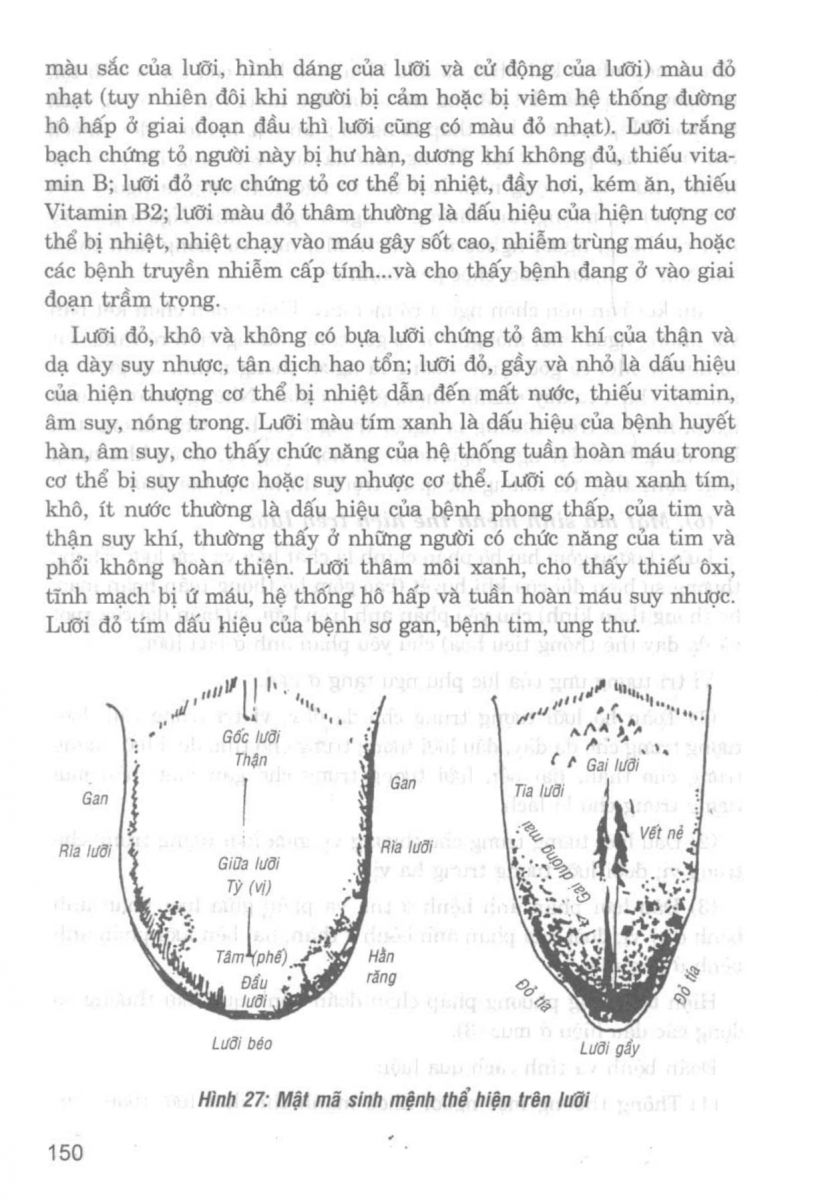 Giải Mã Cuộc Đời - 148