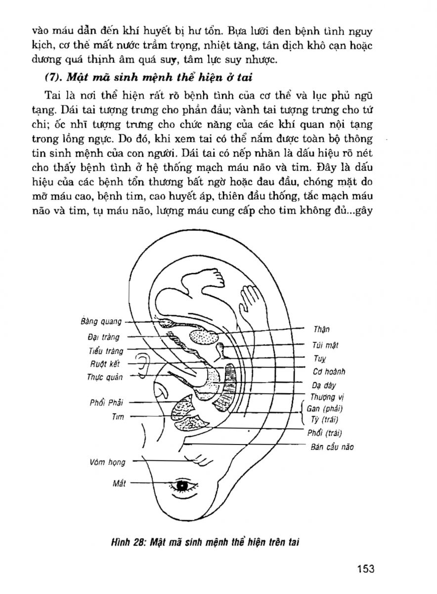 Giải Mã Cuộc Đời - 151