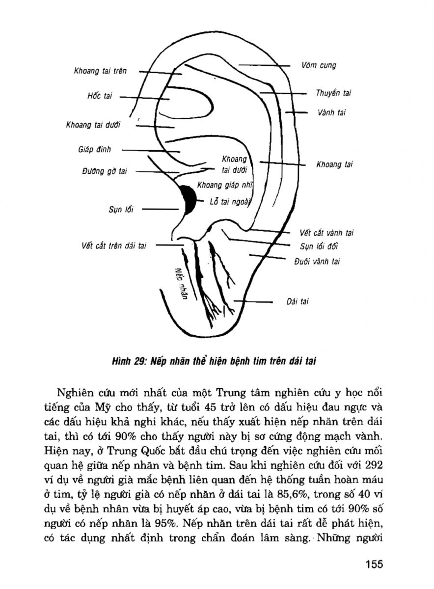 Giải Mã Cuộc Đời - 153