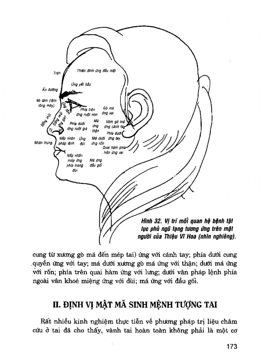 Giải Mã Cuộc Đời - 171