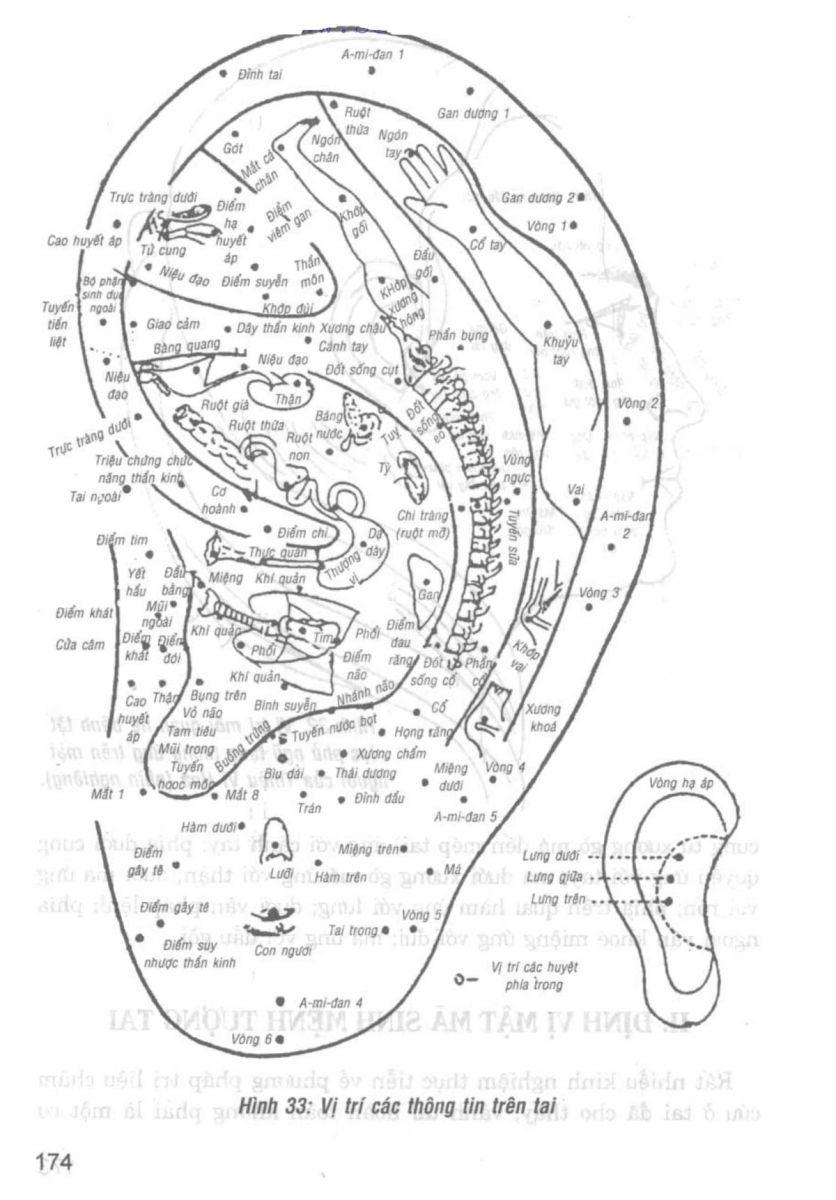 Giải Mã Cuộc Đời - 172