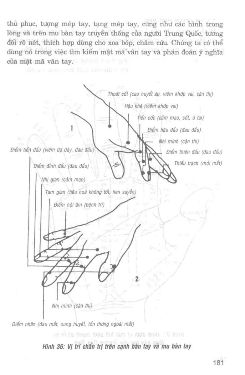 Giải Mã Cuộc Đời - 179