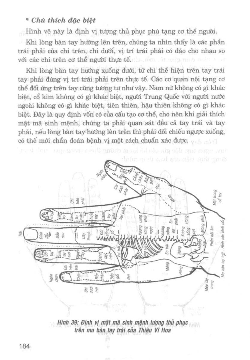 Giải Mã Cuộc Đời - 182