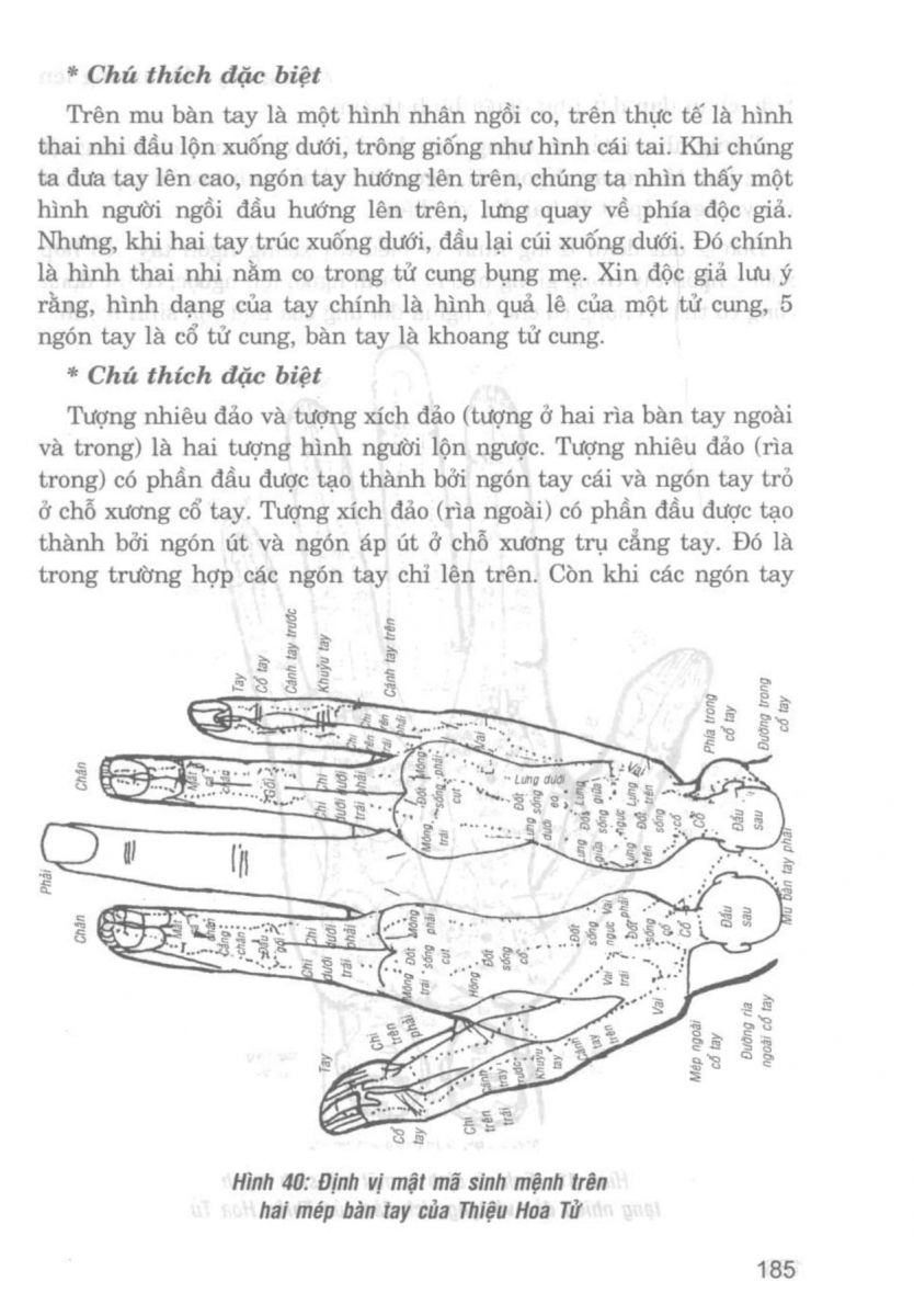 Giải Mã Cuộc Đời - 183
