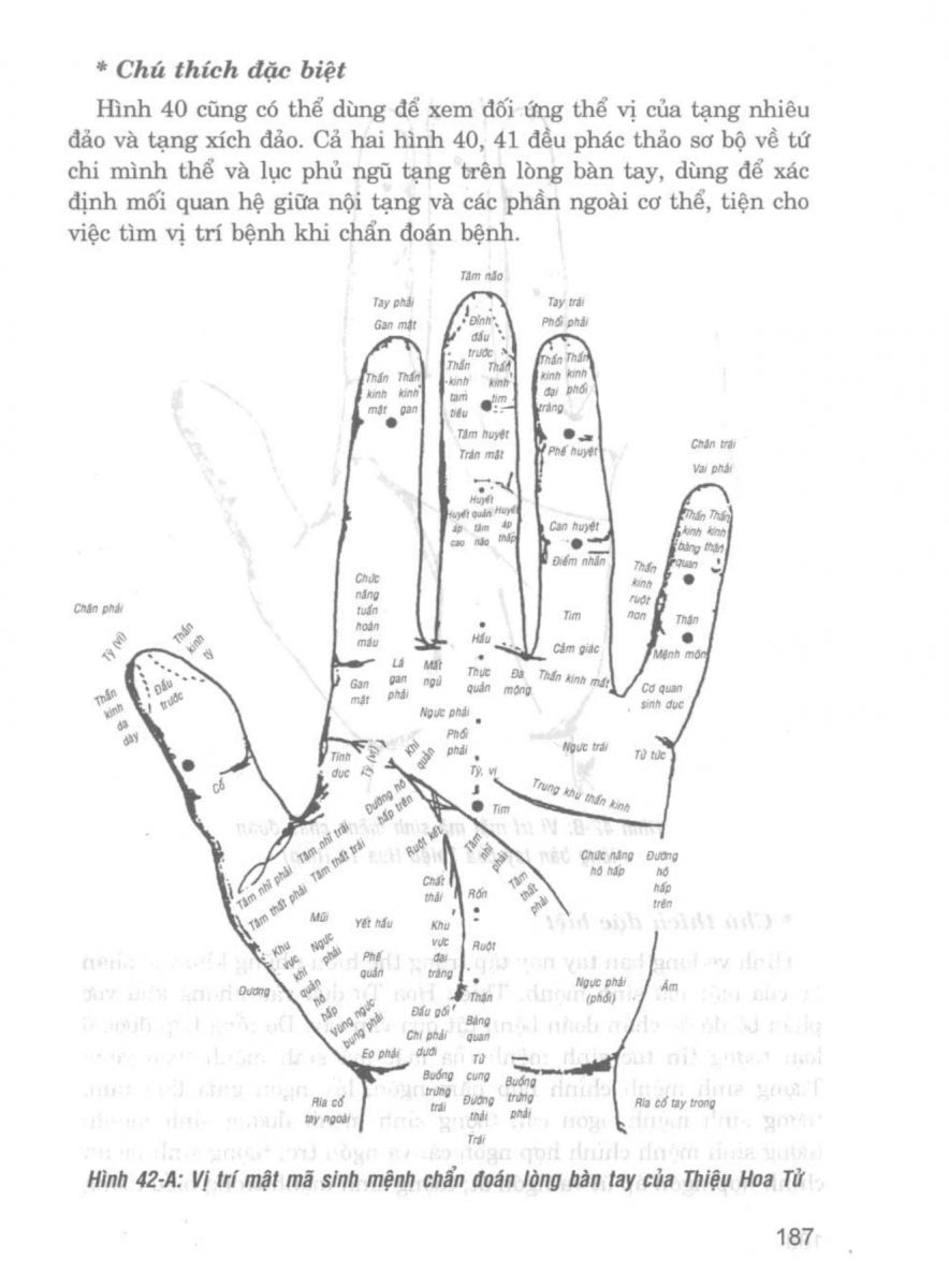 Giải Mã Cuộc Đời - 185