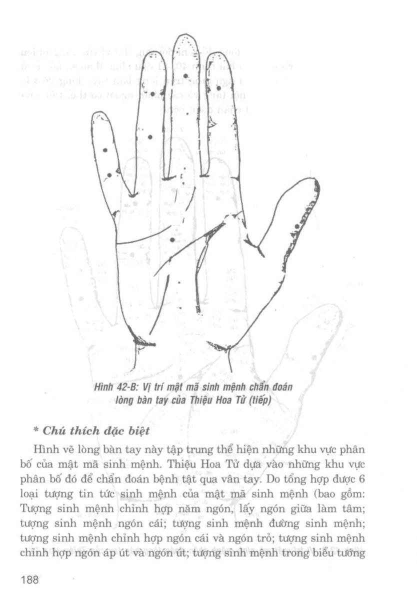 Giải Mã Cuộc Đời - 186