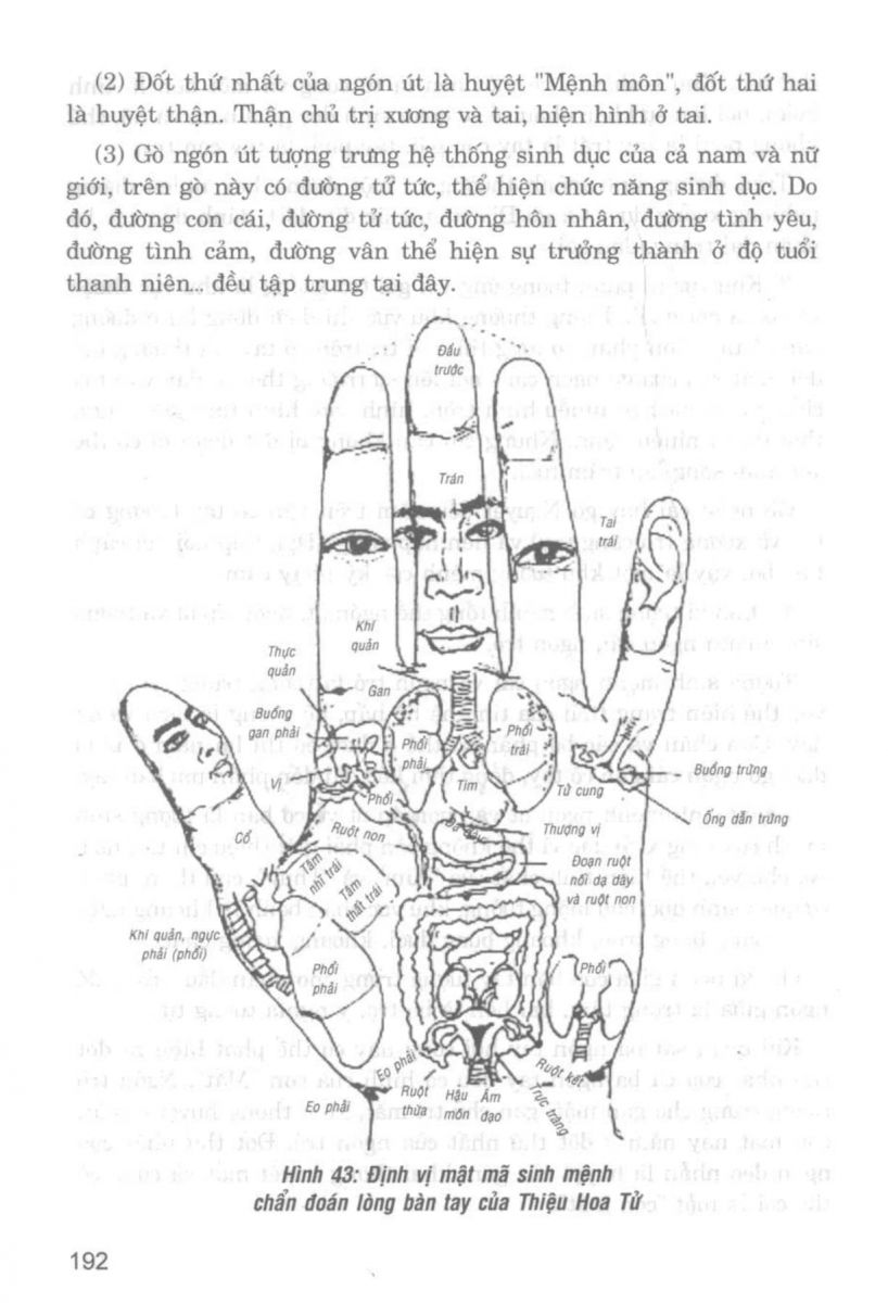 Giải Mã Cuộc Đời - 190