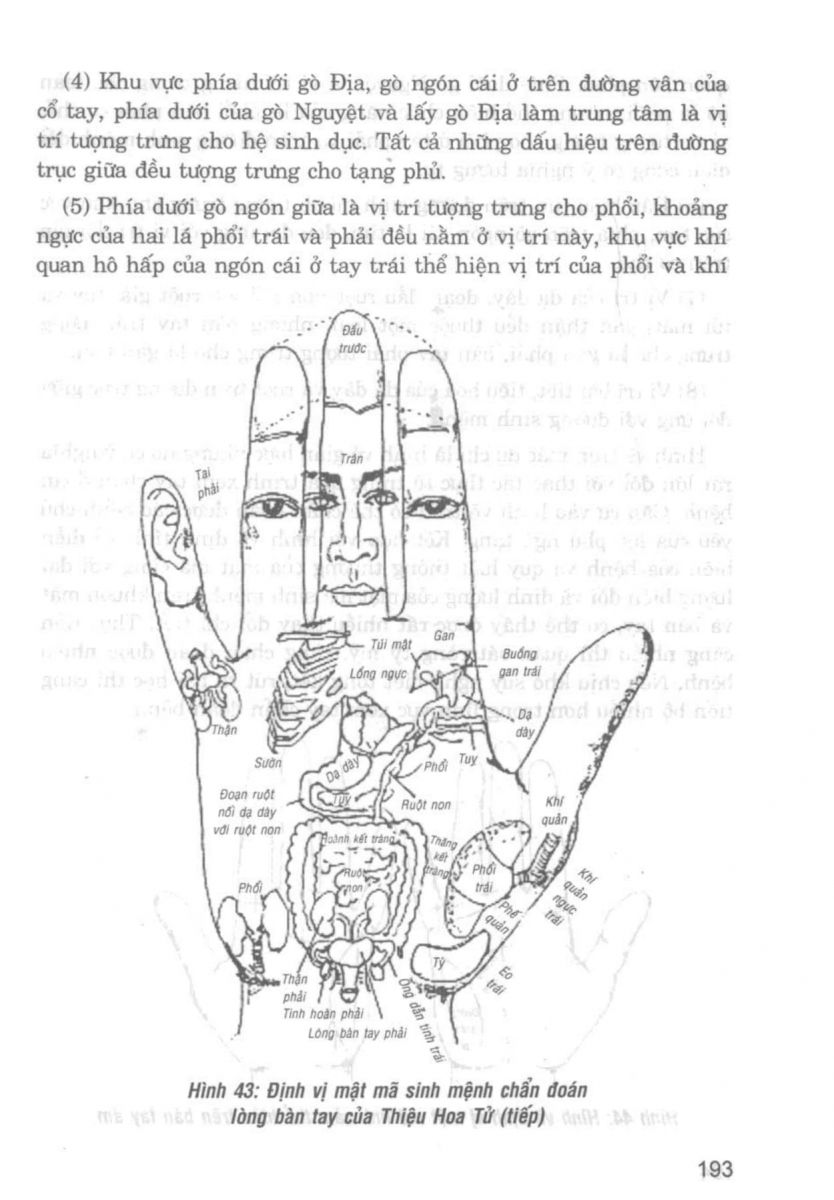 Giải Mã Cuộc Đời - 191