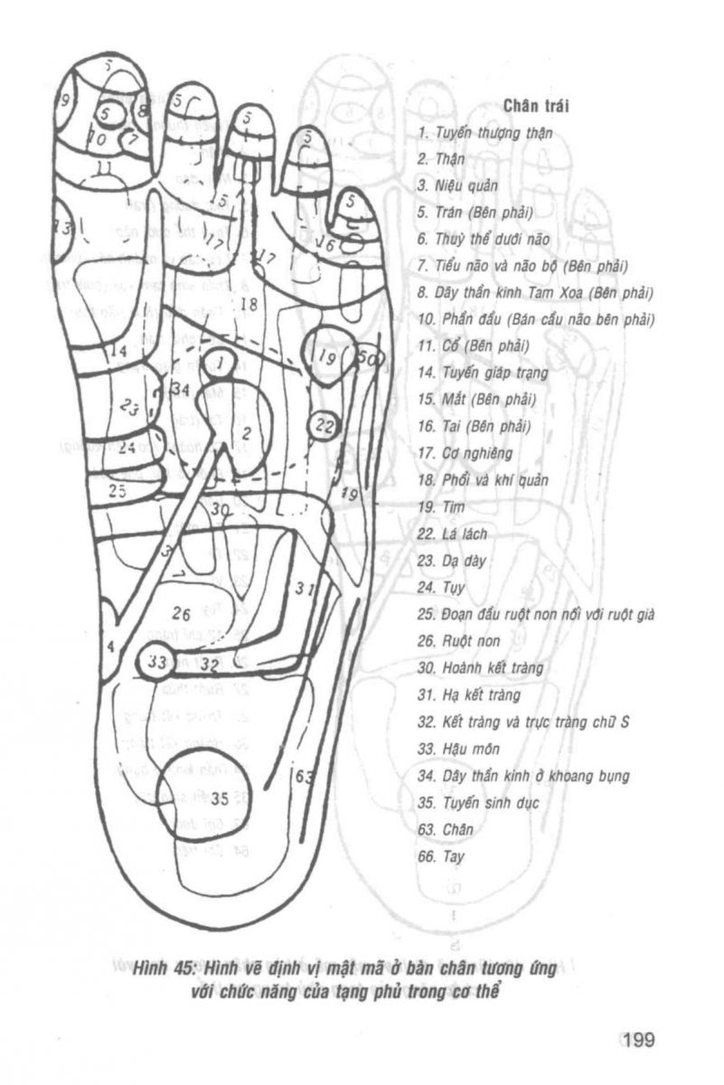 Giải Mã Cuộc Đời - 197