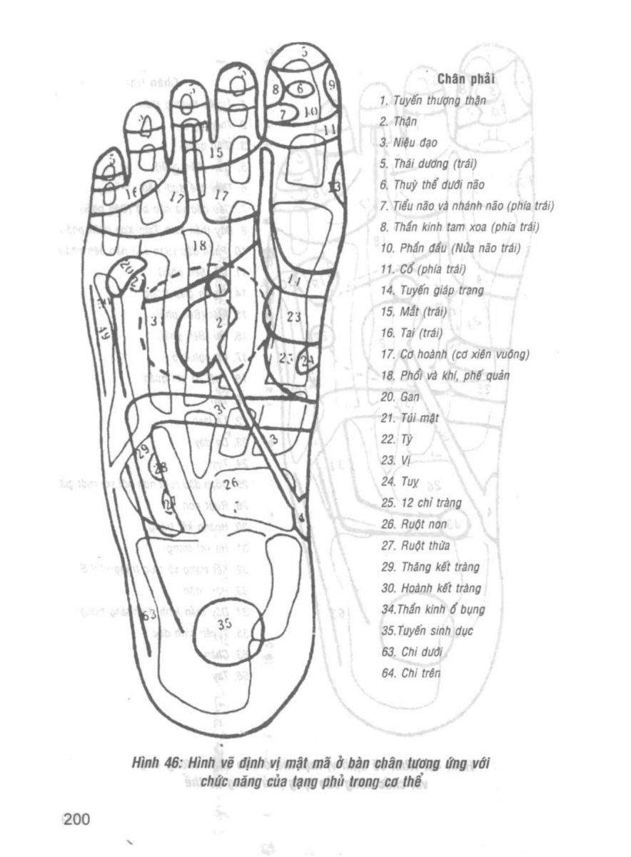 Giải Mã Cuộc Đời - 198