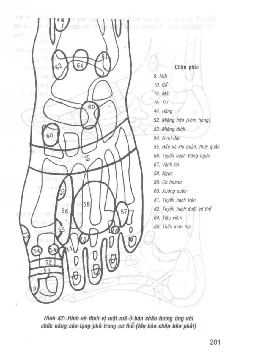 Giải Mã Cuộc Đời - 199