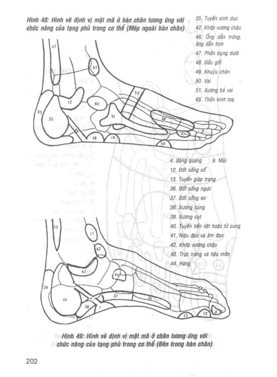 Giải Mã Cuộc Đời - 200