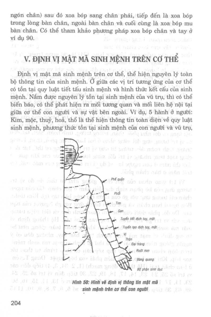Giải Mã Cuộc Đời - 202