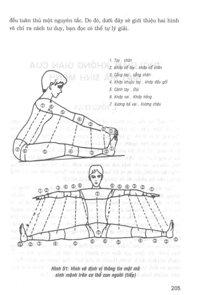 Giải Mã Cuộc Đời - 203