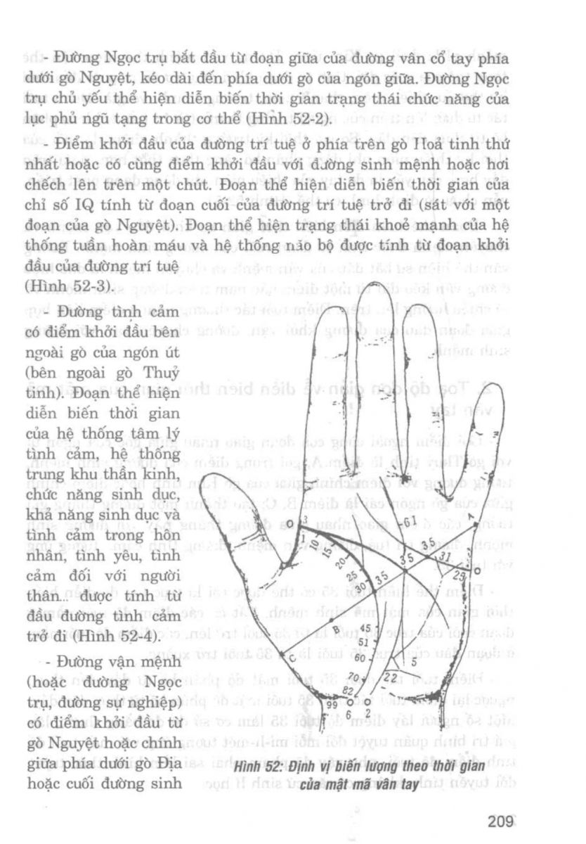 Giải Mã Cuộc Đời - 207