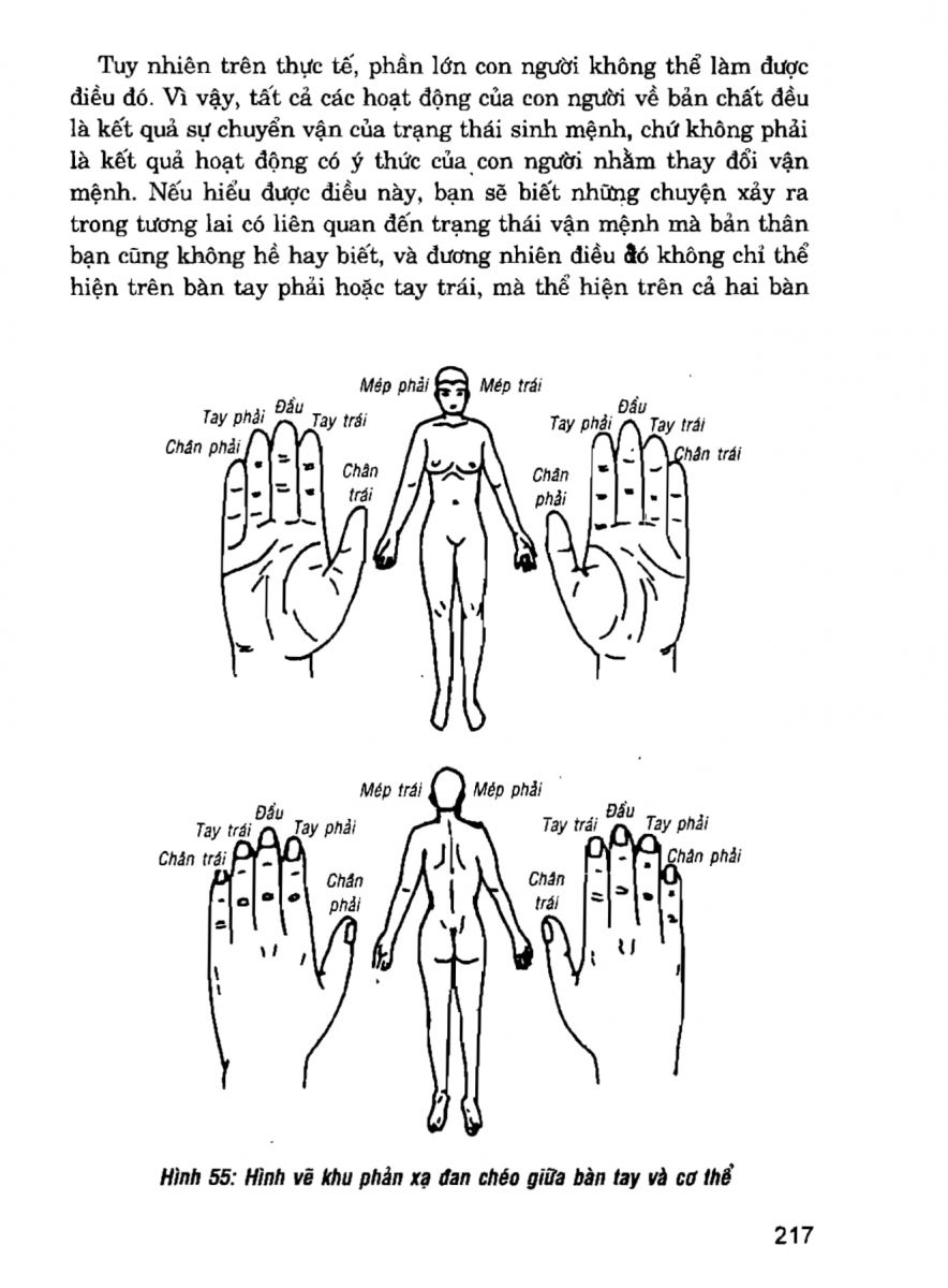 Giải Mã Cuộc Đời - 215
