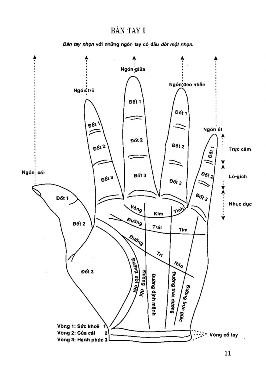 Tiếng Nói Của Bàn Tay - 8
