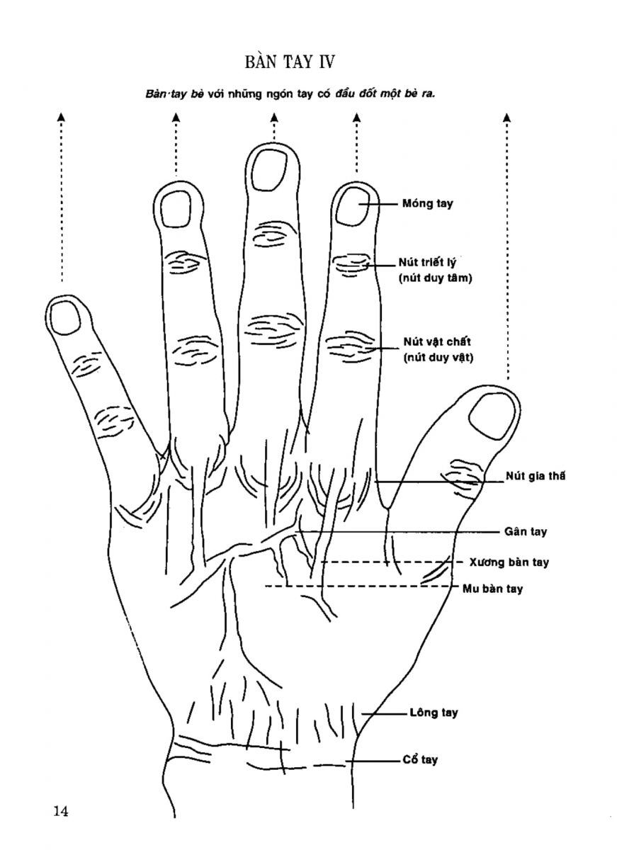 Tiếng Nói Của Bàn Tay - 11