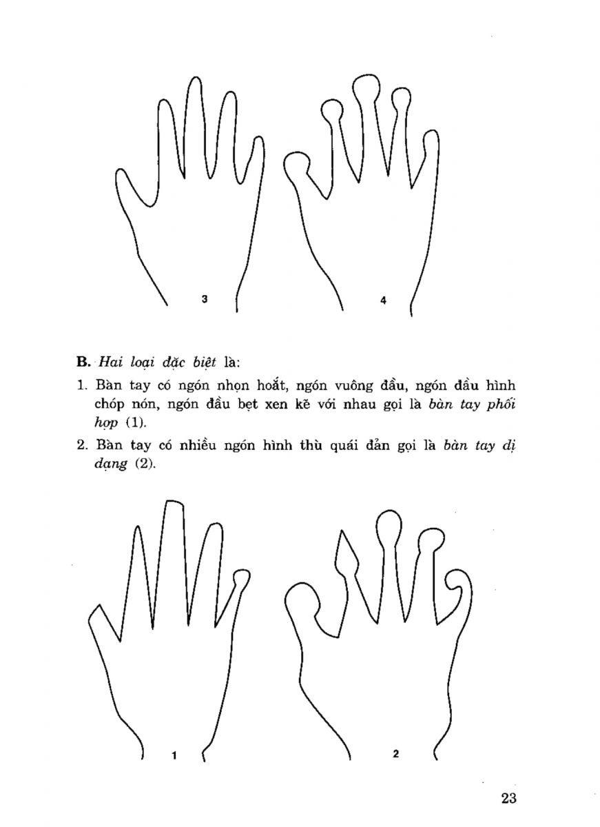 Tiếng Nói Của Bàn Tay - 18