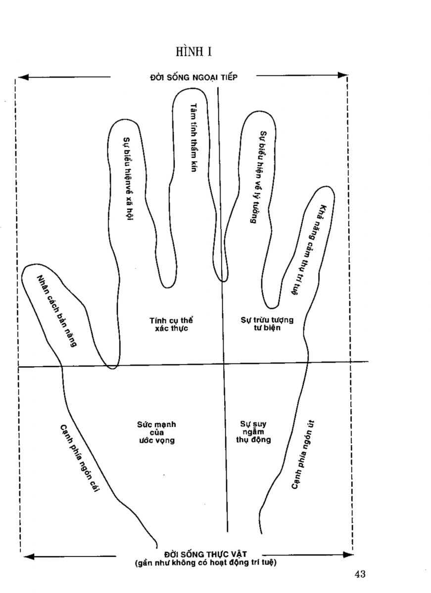 Tiếng Nói Của Bàn Tay - 38