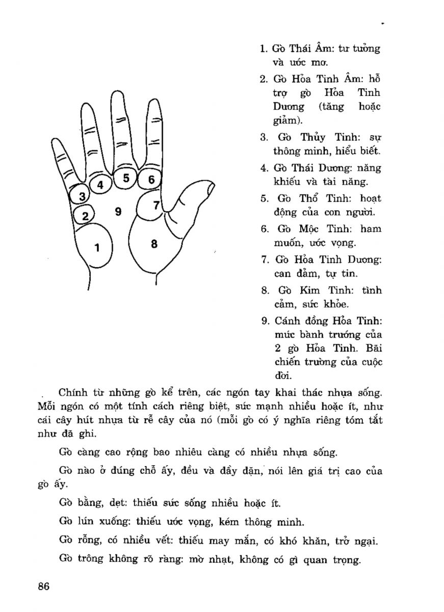 Tiếng Nói Của Bàn Tay - 81