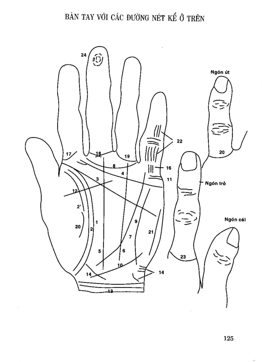 Tiếng Nói Của Bàn Tay - 120