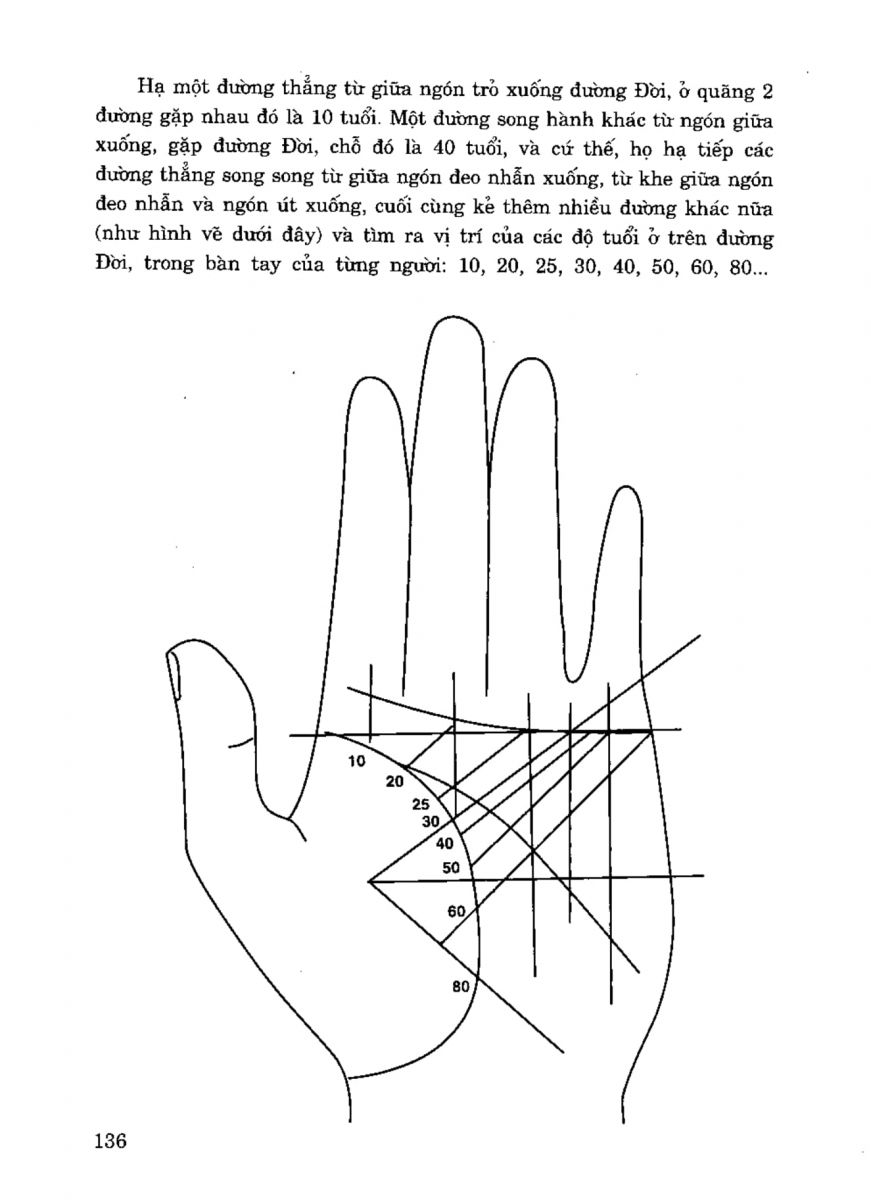 Tiếng Nói Của Bàn Tay - 131