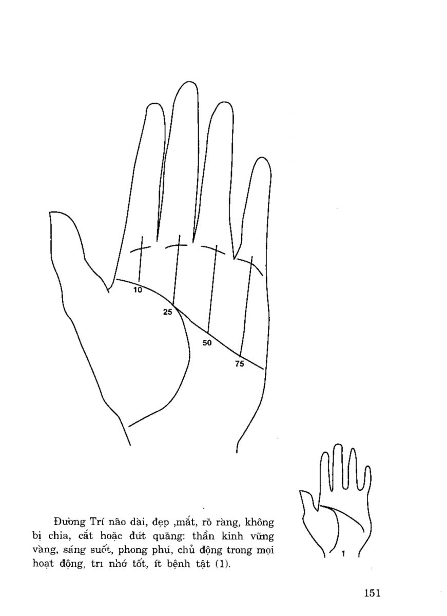 Tiếng Nói Của Bàn Tay - 146