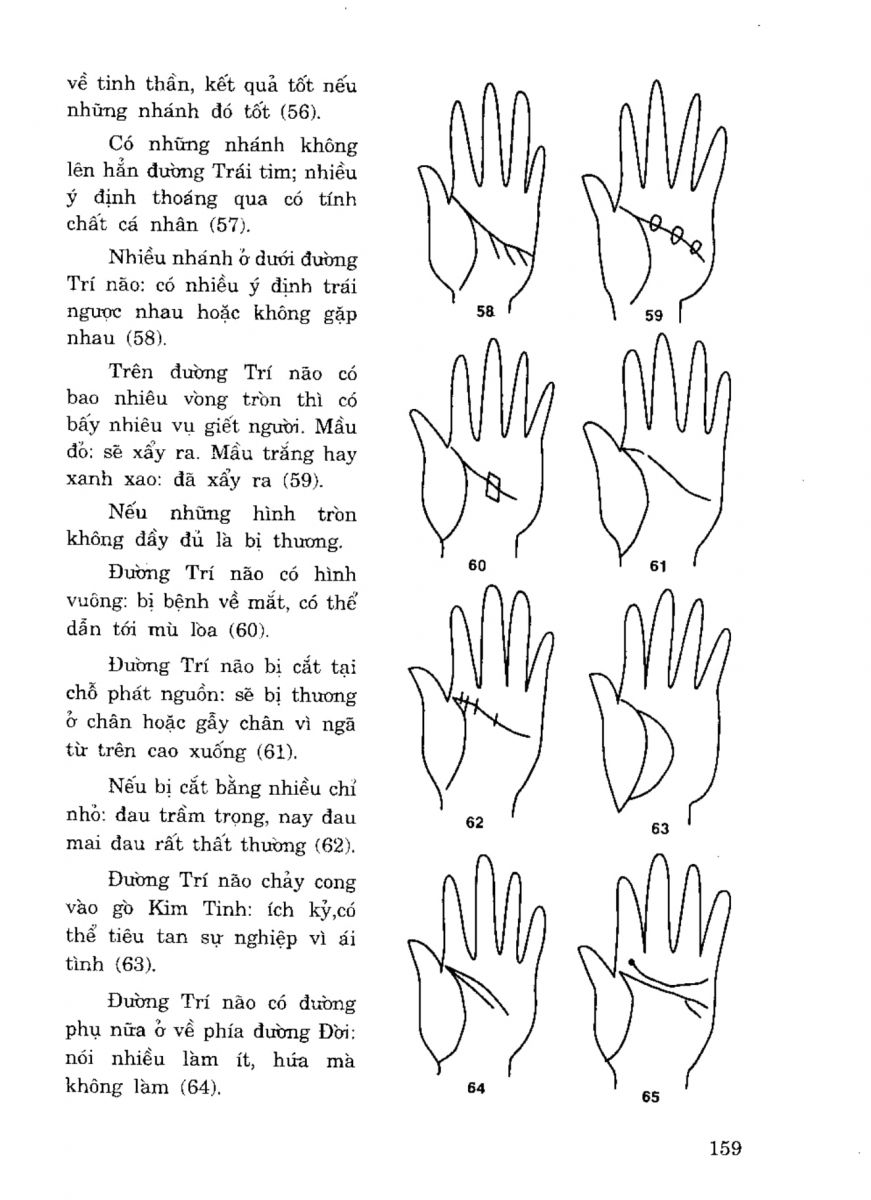 Tiếng Nói Của Bàn Tay - 154