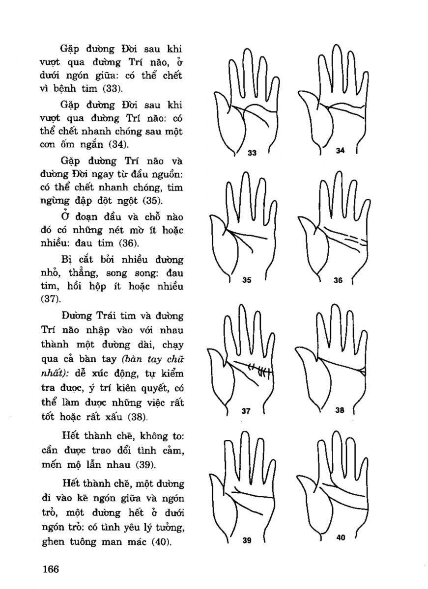 Tiếng Nói Của Bàn Tay - 161