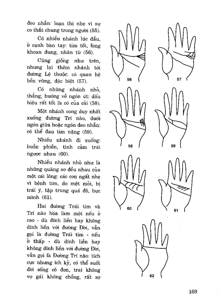 Tiếng Nói Của Bàn Tay - 164