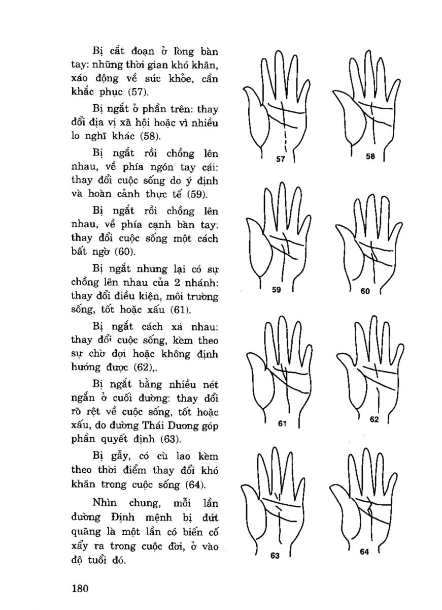 Tiếng Nói Của Bàn Tay - 175