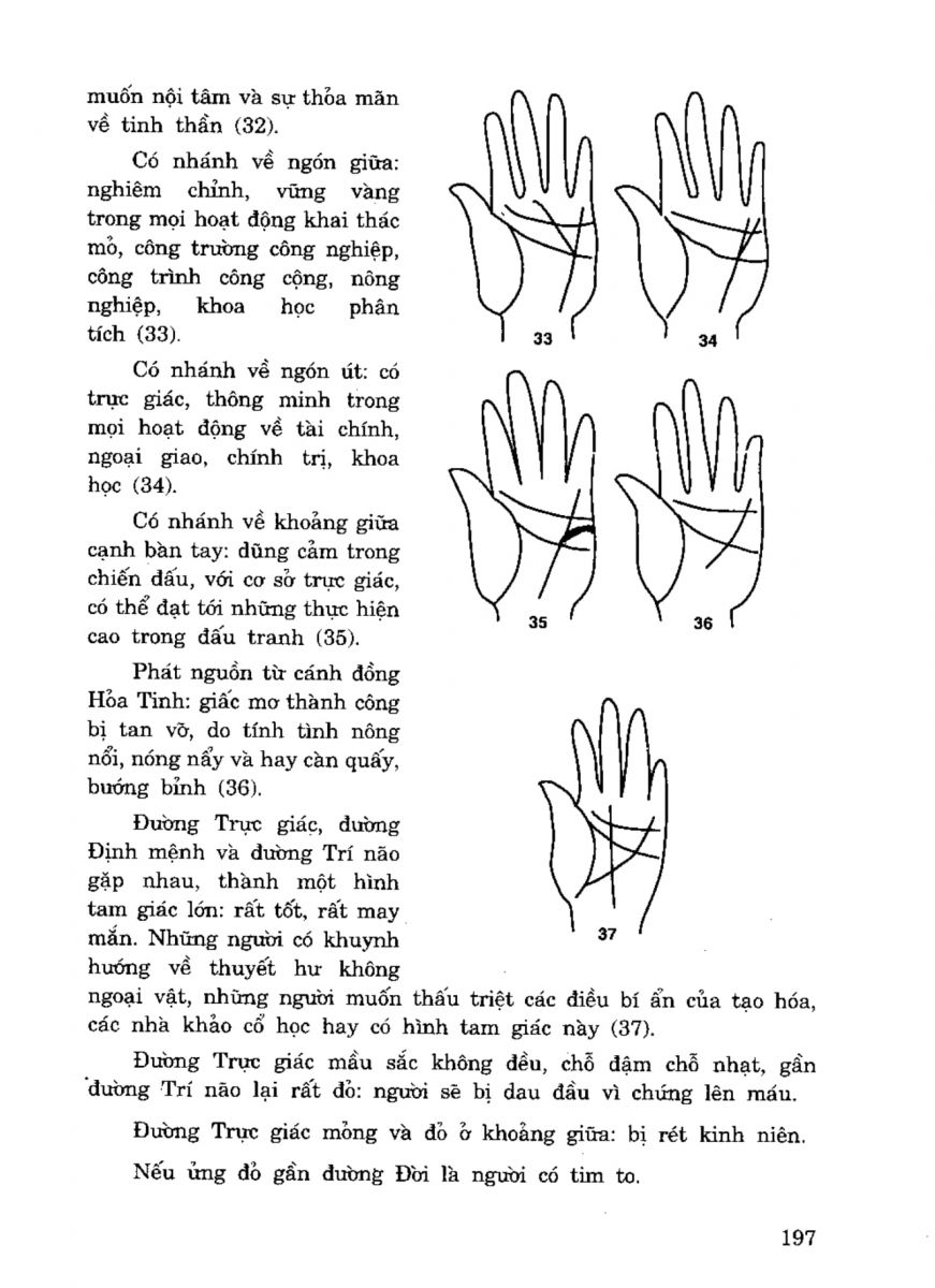 Tiếng Nói Của Bàn Tay - 192