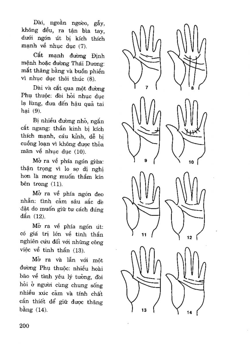 Tiếng Nói Của Bàn Tay - 195